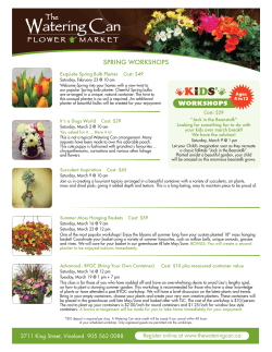 2013 01 14 Spring Workshop Flyer [P4]