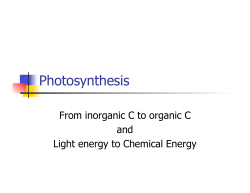 Photosynthesis