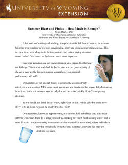 Summer Heat and Fluids &ndash; How Much is Enough?
