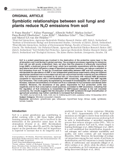 Symbiotic relationships between soil fungi and plants