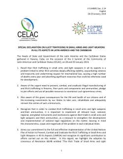 special declaration on illicit trafficking in small arms and light