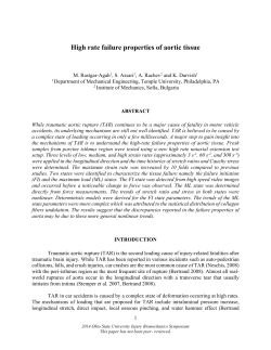 Manuscript - The Injury Biomechanics Research Center