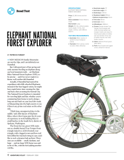 elephant national forest explorer