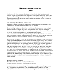 Master Gardener Favorites Citrus