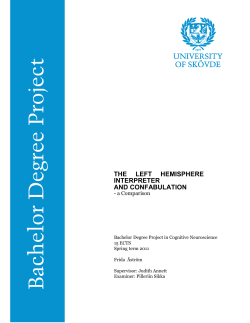 the left hemisphere interpreter and confabulation