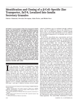 Identification and Cloning of a -Cell&ndash;Specific Zinc