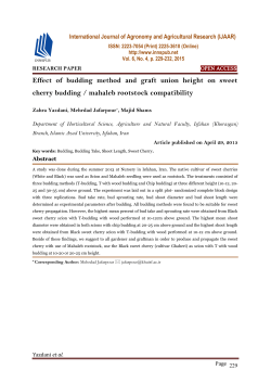 Effect of budding method and graft union height on sweet cherry