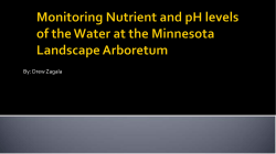 Monitoring Nutrient and pH levels of the Arboretum`s Bodies of Water