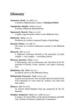 Glossary - There`s a New Shuffle in Lilliput