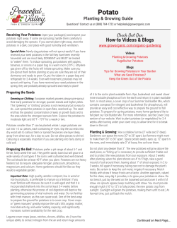 Potato - Grow Organic