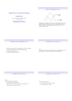 Algorithms for Computational Biology Phylogenetics Summary What