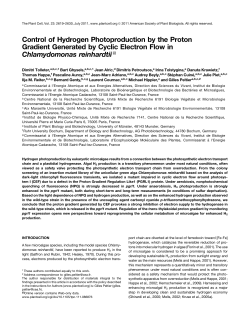 Control of Hydrogen Photoproduction by the Proton Gradient