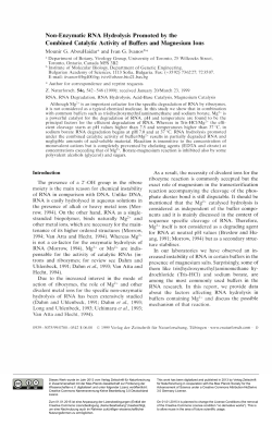 Non-Enzymatic RNA Hydrolysis Promoted by the Combined