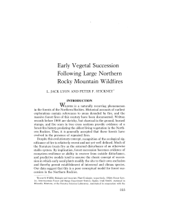 Early Vegetal Succession Following Large Northern Rocky