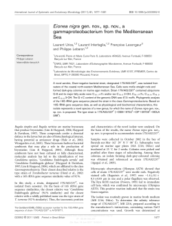 Eionea nigra gen. nov., sp. nov., a gammaproteobacterium from the