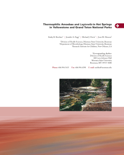 Thermophilic Amoebae and Legionella in Hot Springs in