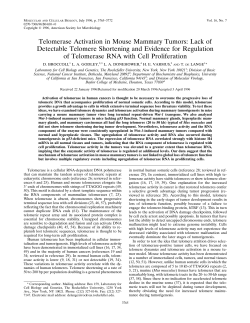 Telomerase Activation in Mouse Mammary Tumors: Lack of