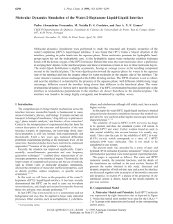 Molecular Dynamics Simulation of the Water/2