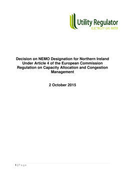 Decision on NEMO Designation for Northern Ireland Under Article 4