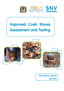 ICS Assessment and Testing - Tanzania Renewable Energy