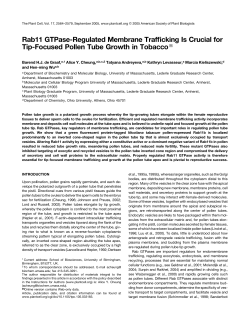 Rab11 GTPase-Regulated Membrane Trafficking Is Crucial for Tip