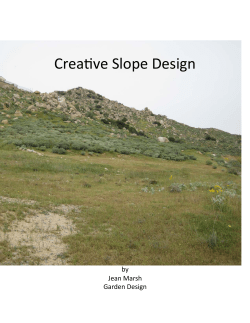 Creative Slope Design
