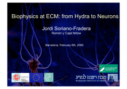 Biophysics at ECM: from Hydra to Neurons - ECM-UB