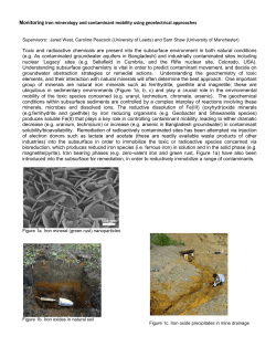 Monitoring iron mineralogy and contaminant mobility using