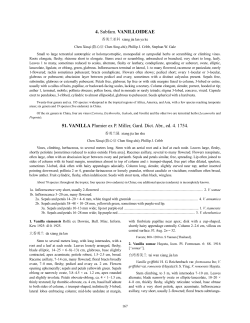 Subfam. Vanilloideae PDF