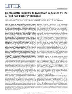 Homeostatic response to hypoxia is regulated by