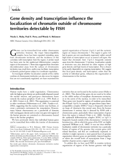 Gene density and transcription influence the