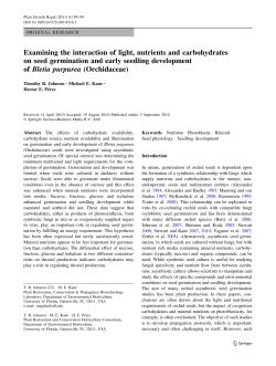 Examining the interaction of light, nutrients