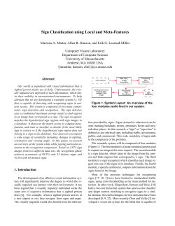 Sign Classification using Local and Meta-Features