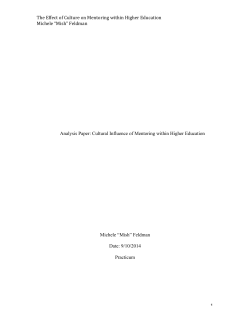 File - Program Portfolio Michele "Mish" Feldman Fall 2014