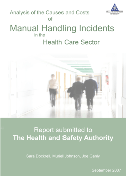 Analysis of the Causes and Costs of Manual Handling