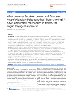 PDF - Frontiers in Zoology