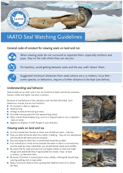 IAATO Seal Watching Guidelines Poster