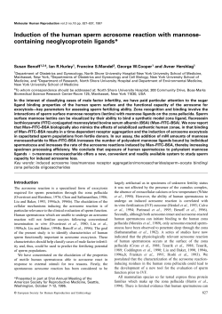 Induction of the human sperm acrosome reaction with mannose