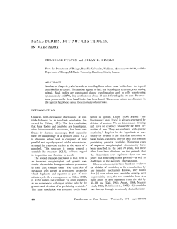 basal bodies, but not centrioles