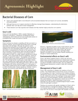Bacterial Diseases of Corn