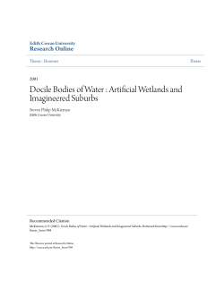 Docile Bodies of Water : Artificial Wetlands and