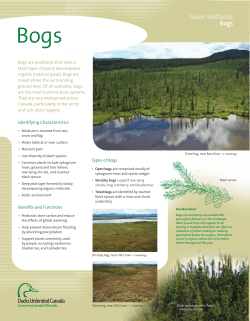 Yukon Wetlands Bogs