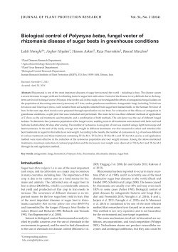 Biological control of Polymyxa betae, fungal vector of rhizomania