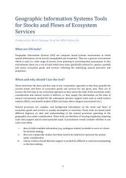 Geographic Information Systems Tools for Stocks and Flows of