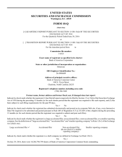 10-Q Filing - Investor Relations Solutions