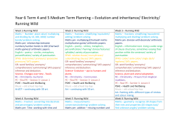 Year 6 Term 4 and 5 Medium Term Planning