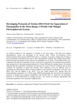 Developing Protocols of Tricine-SDS