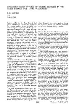 Cineradiographic Studies of Gastric Motility in the Great Horned Owl
