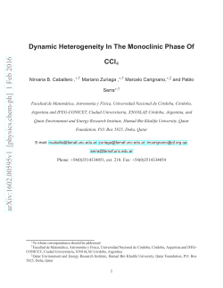 Dynamic Heterogeneity In The Monoclinic Phase Of CCl $ _4$