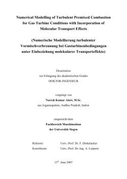 Numerical Modelling of Turbulent Premixed Combustion for Gas